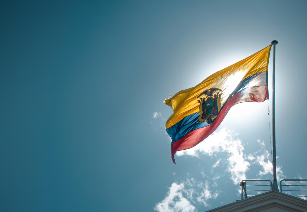 Sector público